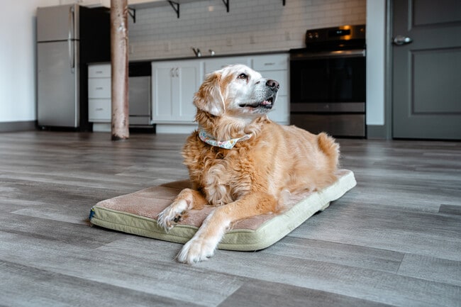 Photo - Wheeler Lofts