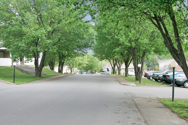 Photo - Lily Grace South