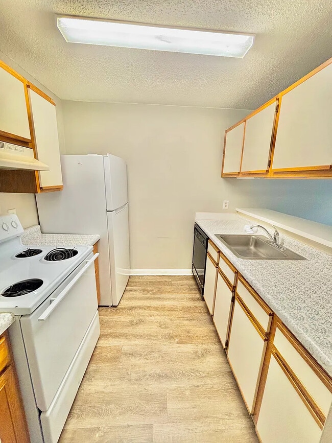 Photo - 1245 Old Lascassas Rd Unidad E1