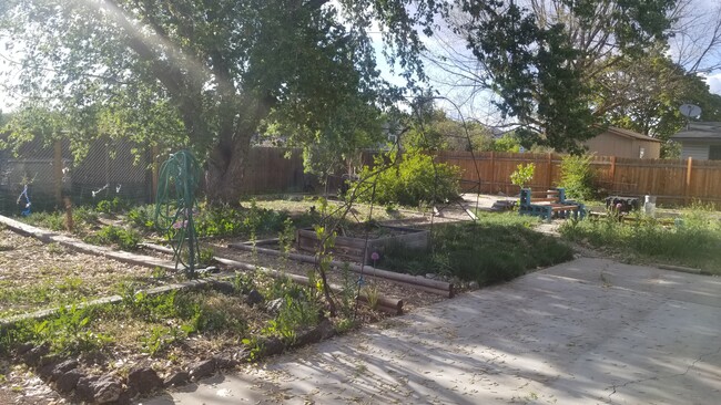 Back yard - garden space. - 2965 Caradoc St Casa