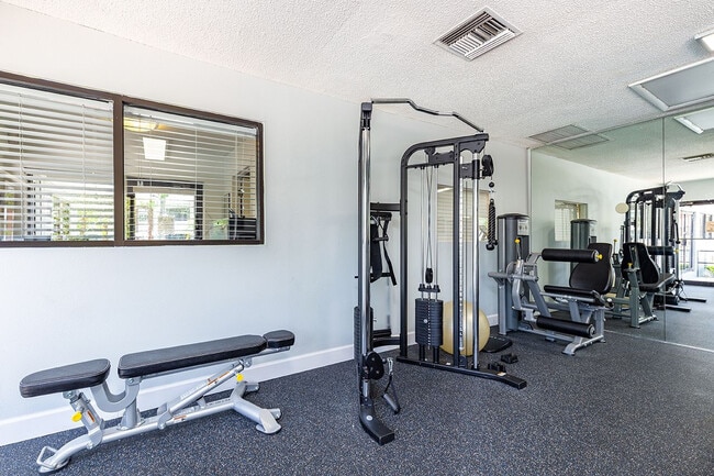 Photo - Palms at Sand Lake