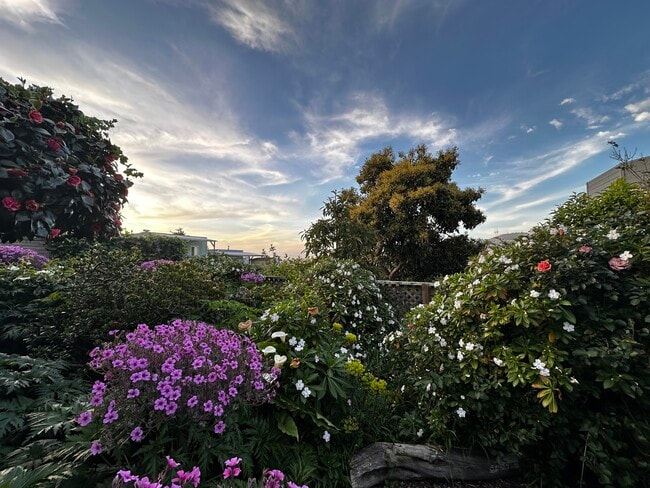 Photo - 19 Miramar Ave Unit Studio BD