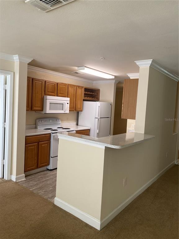 18209 Bridle Club Dr Unit 18209