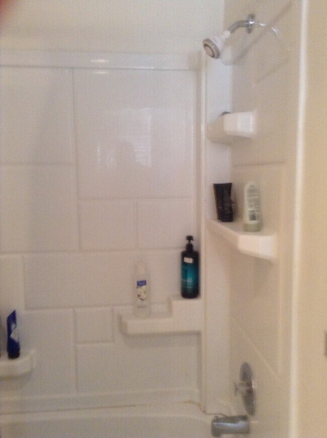 bath - 1016 S Charles St Unit 2