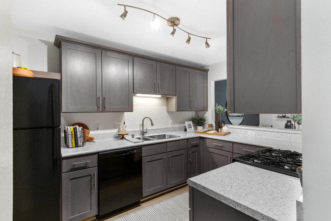 Photo - TGM Bull Run