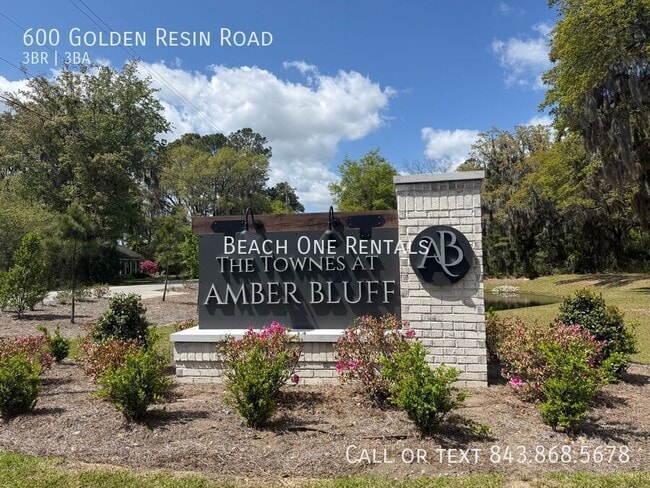 Photo - 600 Golden Resin Road