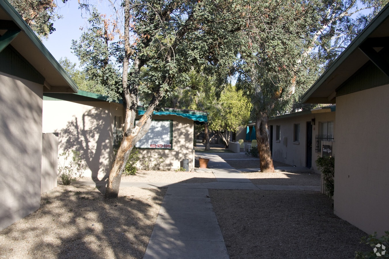 Cedar Springs - Cedar Springs