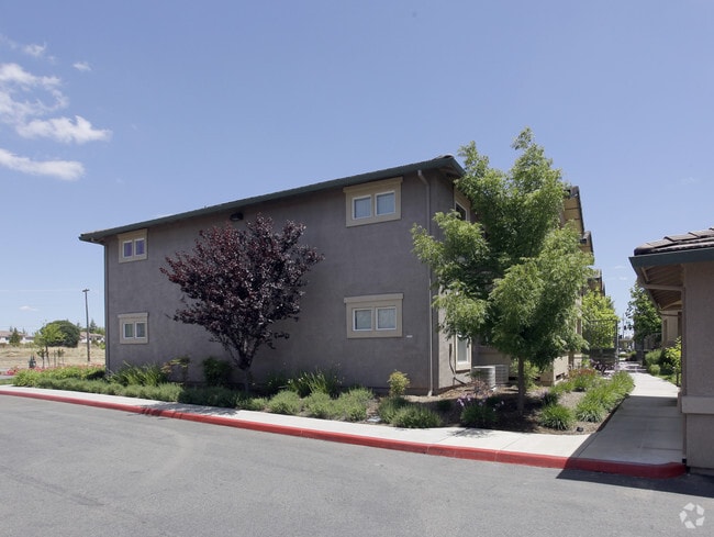 Photo - Sierra Creek