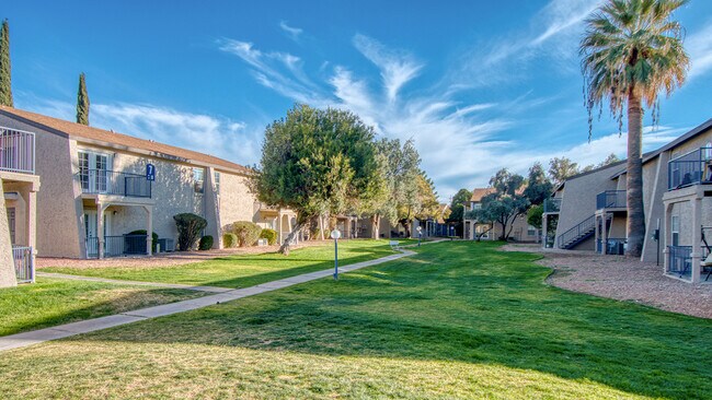 Lawn between buildings