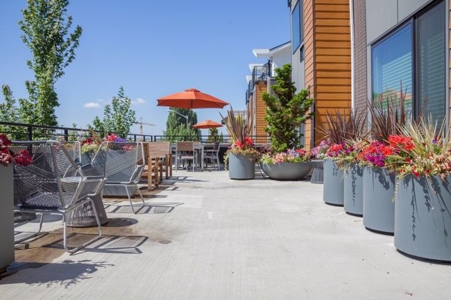 Rooftop Deck