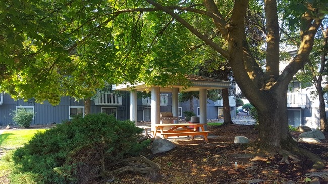 BBQ area
