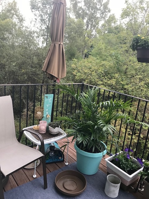 Photo - 2149 Knotty Pine Tr