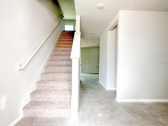 Photo - 484 Sun Warbler Wy