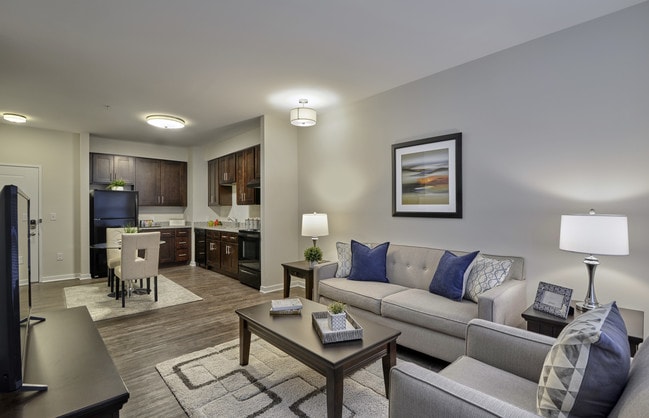 1 BR Apartment - Living / Dining Area
