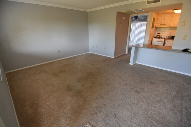 Photo - 1 Bed/1 Bath - Waterside at Cranes Roost Unit 340
