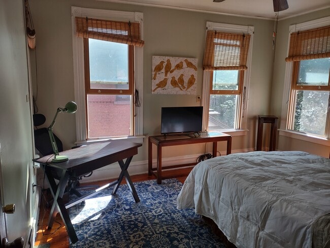 Building Photo - 363 Laurel St Unit Studio