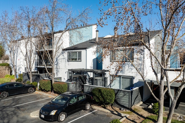 Avana Stoneridge