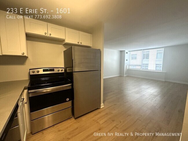 Building Photo - 233 E Erie St Unit 1601 Rental