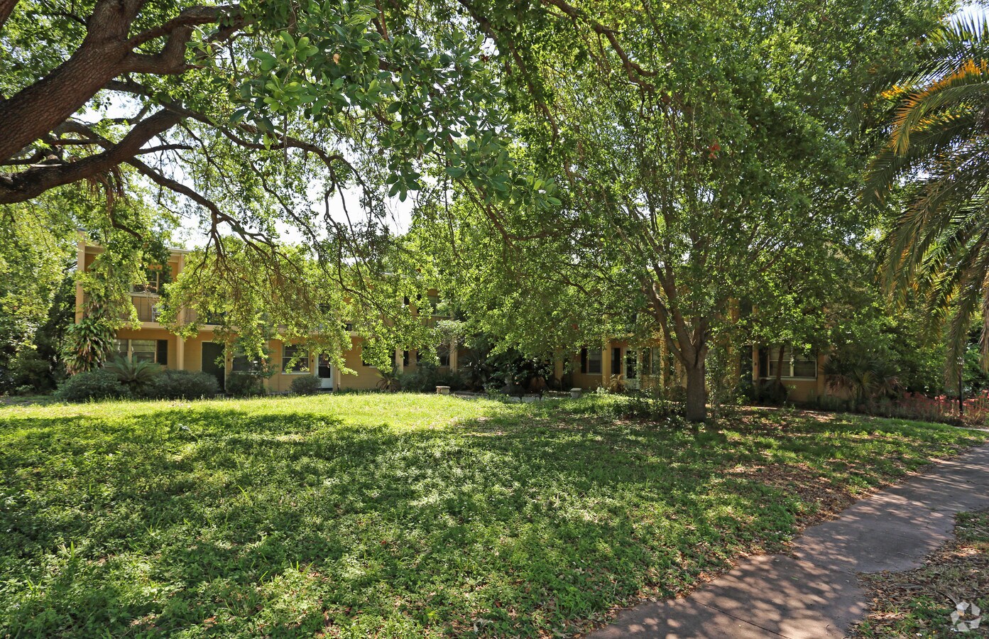 Photo - Palm View Apartments