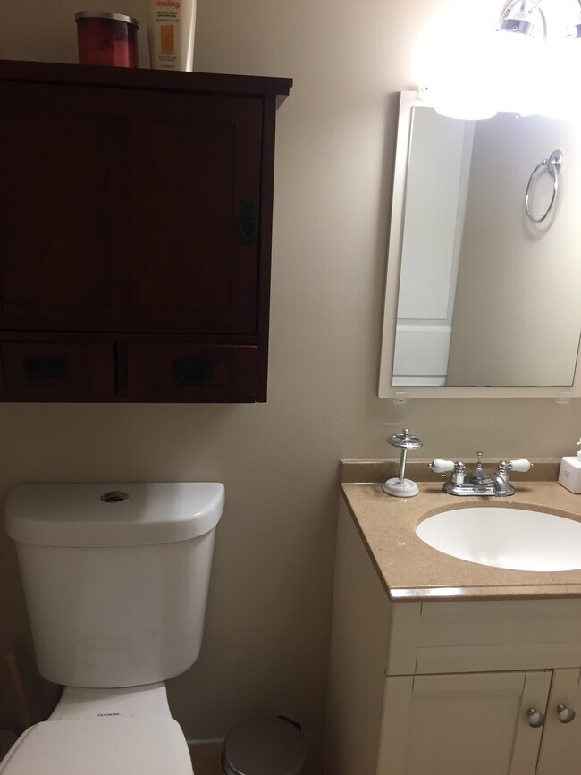bathroom with storage below sink and in above-toilet cabinet