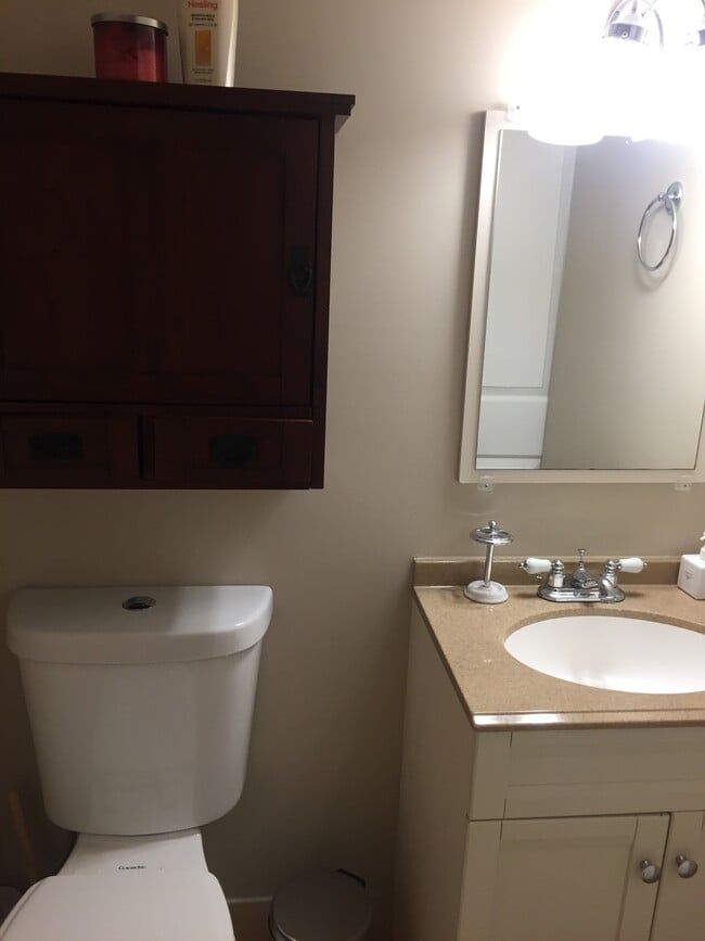 bathroom with storage below sink and in above-toilet cabinet - 43 Girard St. NE Unit English Basement
