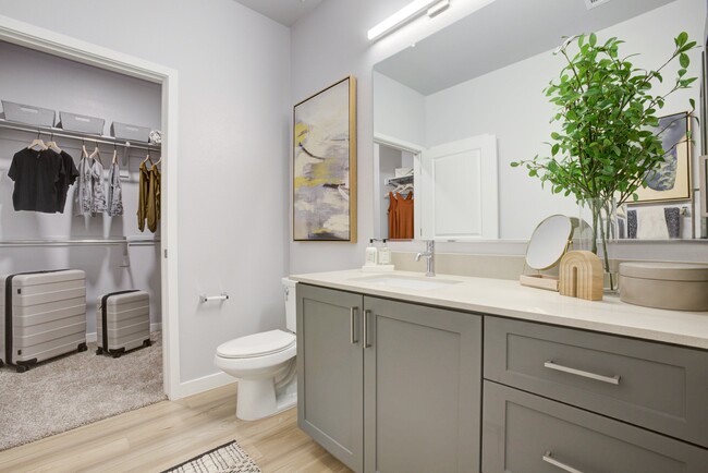 Lucent Scottsdale