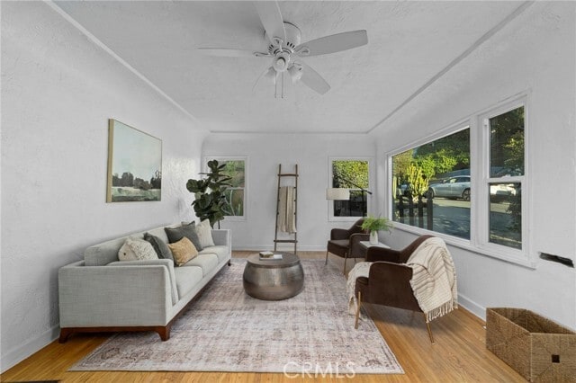 Photo - 1119 Princeton Dr