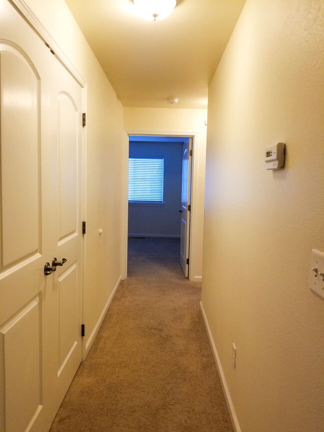 Photo - CLEAN, MODERN, DOWNSTAIRS APARTMENT