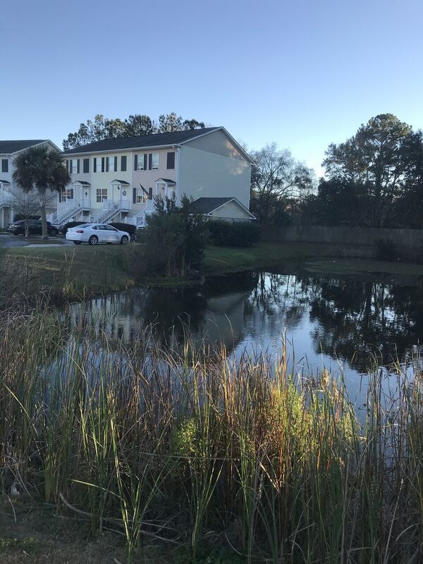 Photo - 324 Laurel Oak Ln