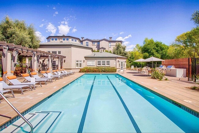 Resort style pool at Renaissance Apartment Homes in Santa Rosa - Renaissance Apartment Homes