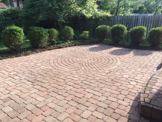 Back Yard - 1259 Denbigh Dr