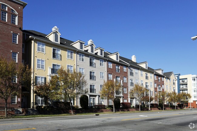 Alexander at Ghent Apartments For Rent in Norfolk, VA