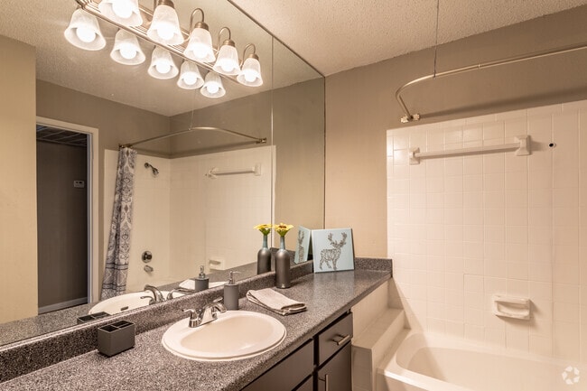 1BR, 1BA - 670SF - Sky at Salado Creek