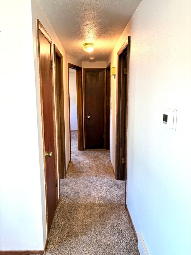 Photo - 3 Bedroom, 1 Bath Home with 1 car attached garage in Northwest Loveland, CO