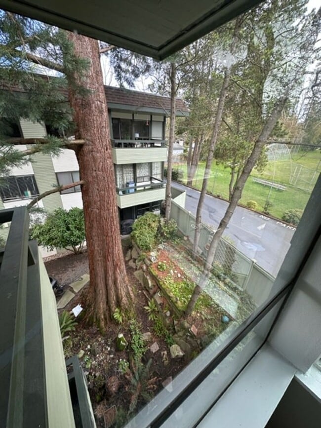 Photo - Large Open And Bright 2bd 1.75 Bath Condo in Shoreline!