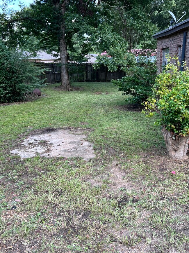 Side Yard - 607 John D Shaw St