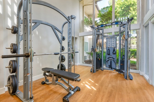Fitness center with strength equipment