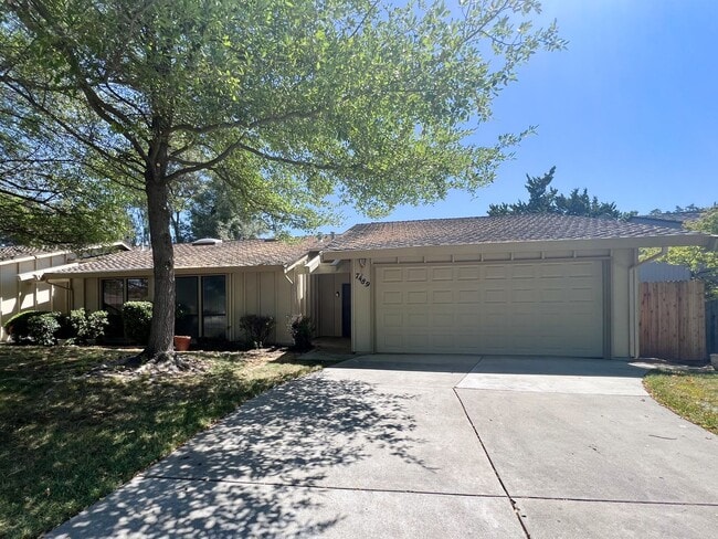 7489 Maple Tree Wy