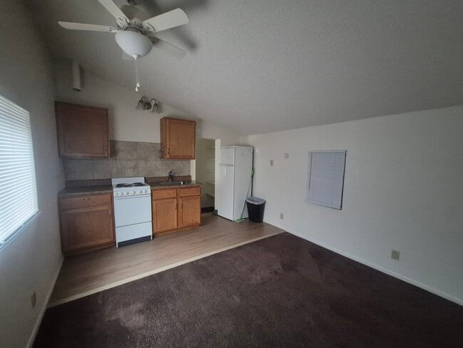 Photo - 828 1/2 E Cache La Poudre St