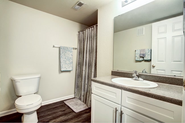 Lower level bathroom