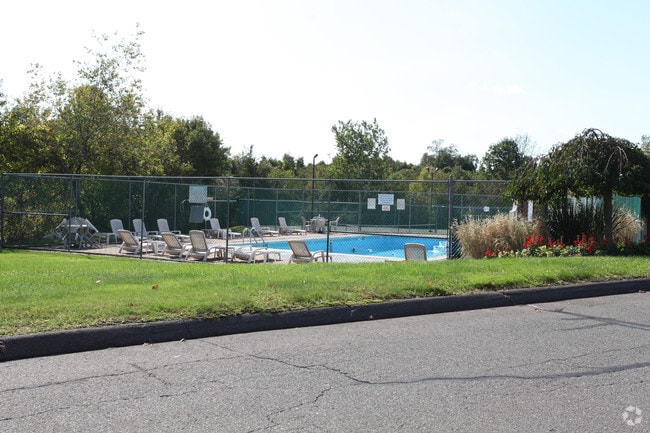 Pool - Wyndwood Apartments