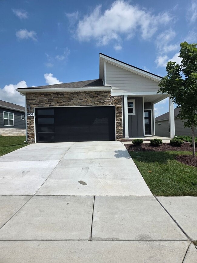 Building Photo - 1037 Royal Gorge Private Ct