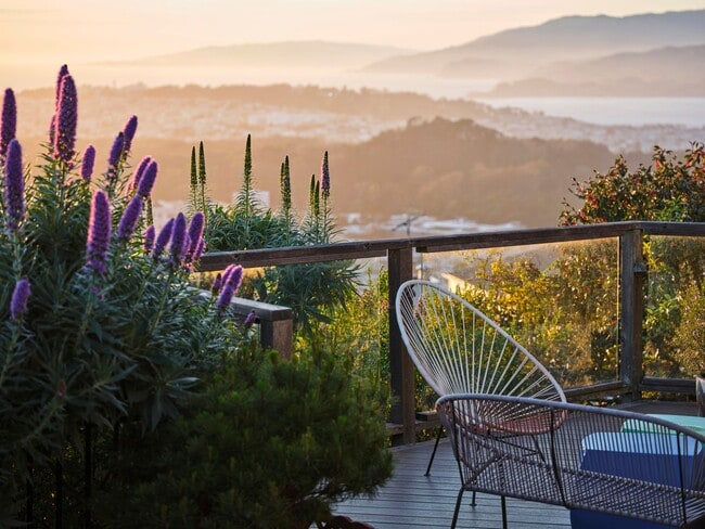 Building Photo - Forest Knolls: Luxuriously Remodeled Single Family Home w/ Expansive Views, Family Room, Office, ...