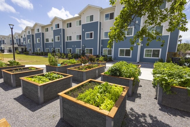 Shoreline Villas