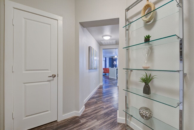 Photo - Boardwalk Research