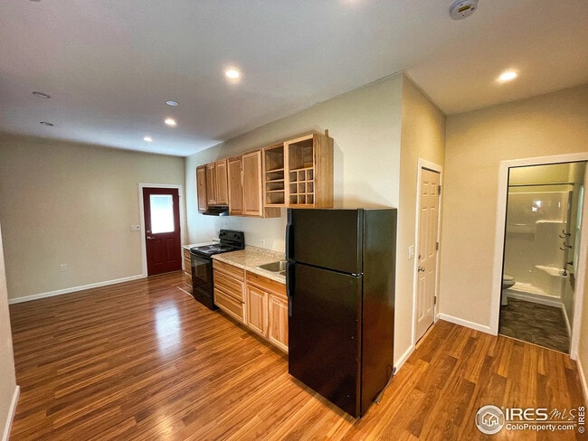 Kitchen and Bathroom - 1047 Venice St