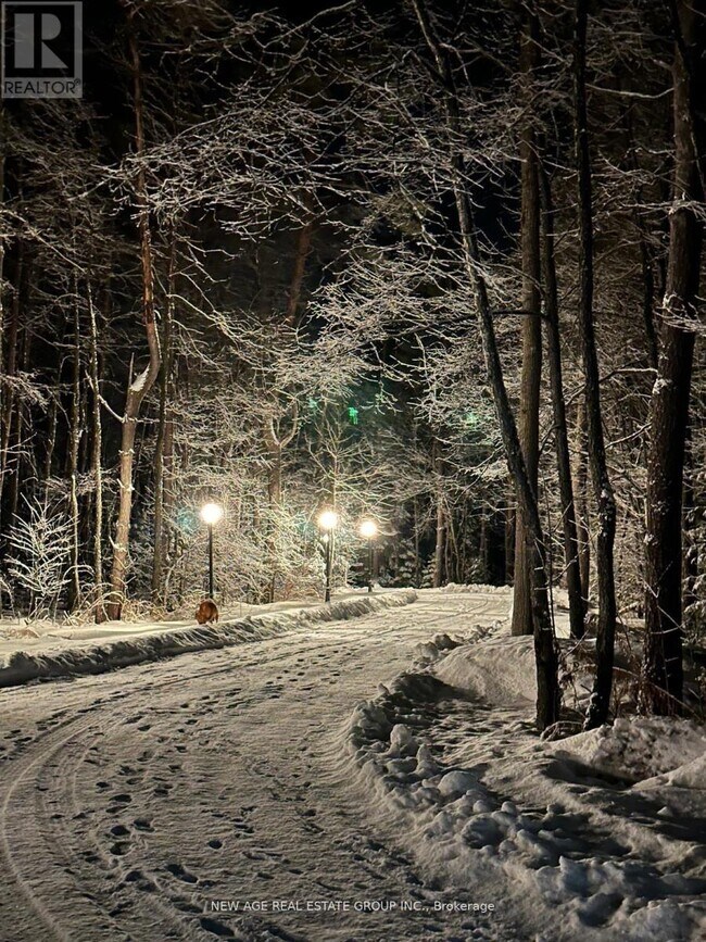 Photo - 9031 Sideroad 17