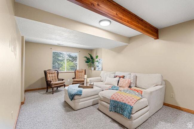 Living Area - 11770 S Dry Creek Rd Unit Basement