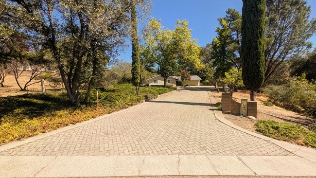 3581 Cercis Way