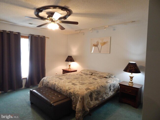 Photo - 2553 Warm Springs Rd